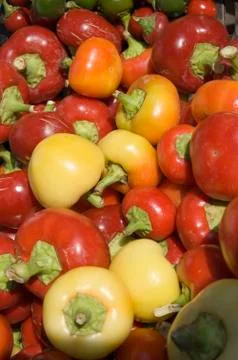 Peppers Stock Photos