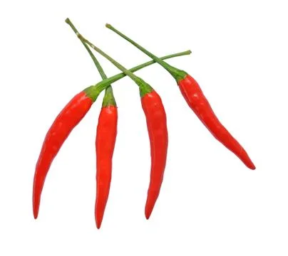 Peppers 스톡 사진