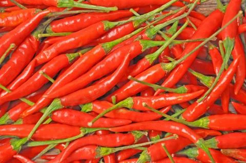 Peppers 스톡 사진