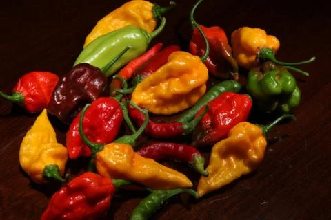 Peppers Stock Photos