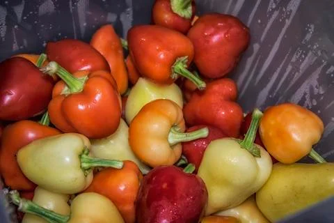 Peppers Stock Photos