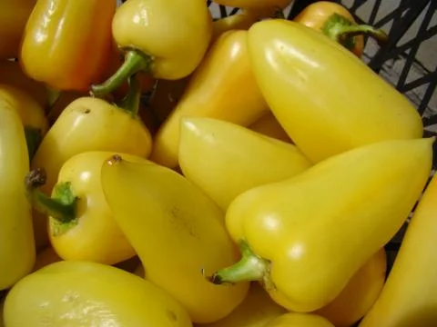 Peppers Stock Photos