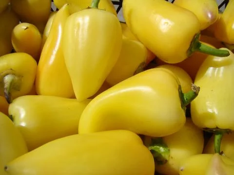 Peppers Stock Photos