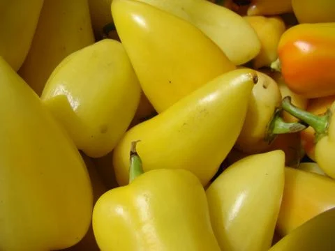 Peppers Stock Photos