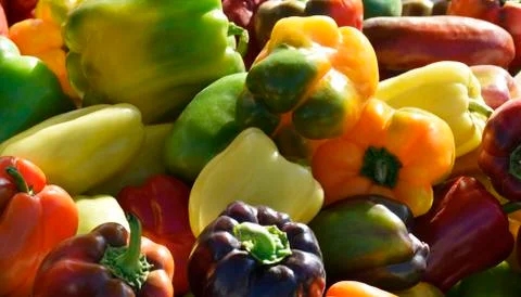 Peppers Stock Photos