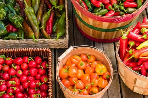 Peppers in various baskets Fotos Stock