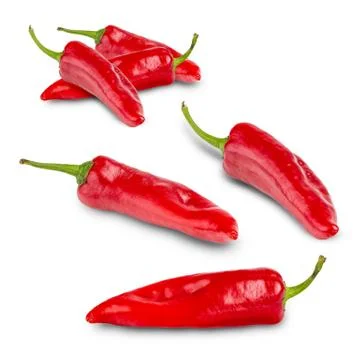 Peppers on a white background Stock Photos