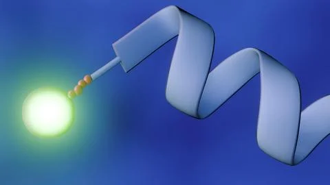 A peptide linker probe. A fluorophore is connected with an alpha-helix ribbon. Stock Illustration