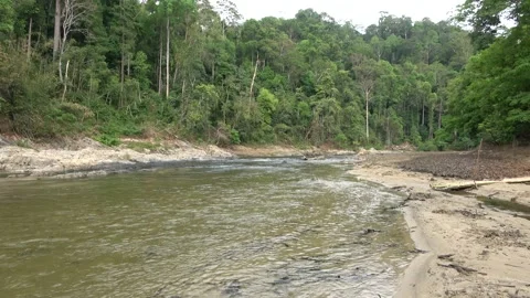 Perak River, Malaysia Stock Footage 159635083