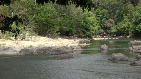Perak River, Malaysia Stock Footage 159635105