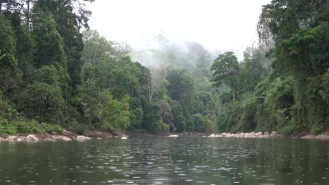 Perak River, Malaysia Stock-Footage 159636463