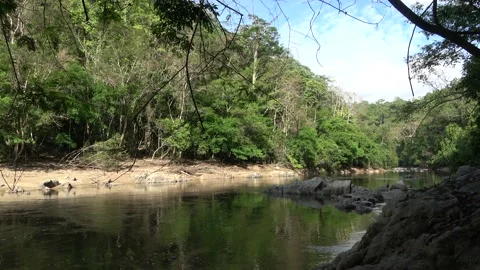 Perak River, Malaysia Stock Footage 159637428