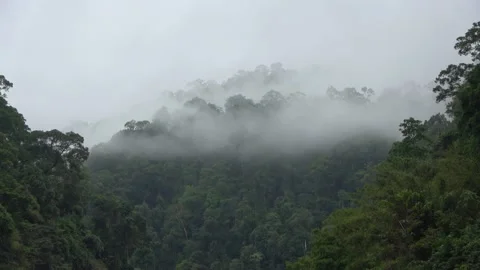 Perak River, Malaysia Stock Footage 159638058