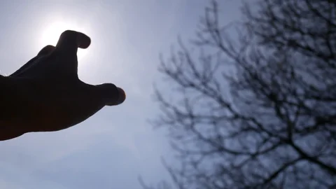 Perception of heat through the hand Stock Footage 128316689