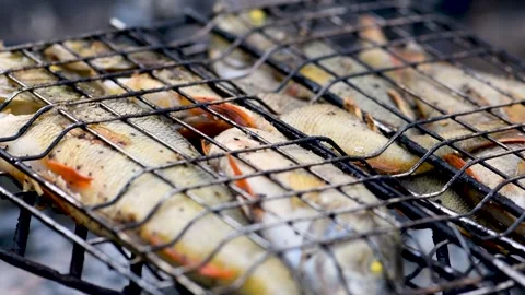 Perch fish bakes on embers Stock Footage 145415937