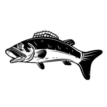 Perch fish icon isolated on white background. Design element for logo, label, Stock Illustration
