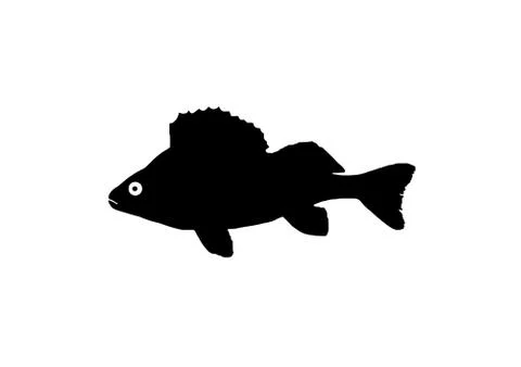 Perch fish silhouette Stock Illustration