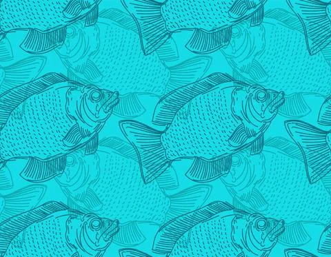 Perch hand drawing pattern seamless. Fish background 스톡 일러스트