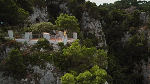 Perched on a cliffside railing, a person observes the azure ocean below. Verdant Stock Footage 267046472