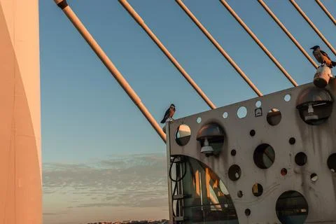 Perched Crows on Patterned Elevator Shaft at Halic Bridge Stock Photos