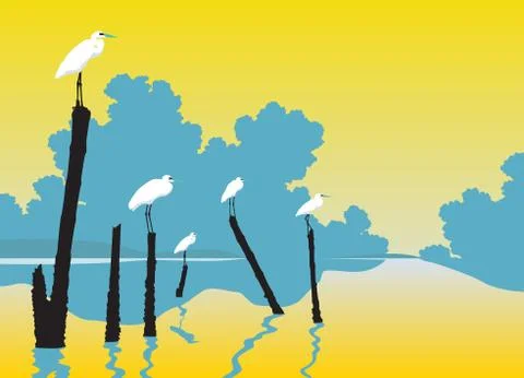 Perched egrets Illustrazione stock