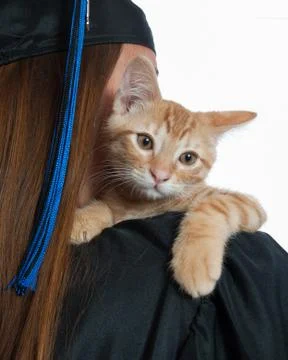 Perched on her shoulder Stock Photos