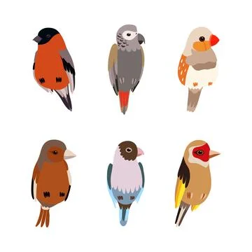 Perching Birds as Winged Feathered Creature with Bright Plumage Vector Set 스톡 일러스트