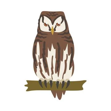 Perching Owl Bird with Broad Head and Sharp Talons Having Upright Stance Vector Stock-Illustration