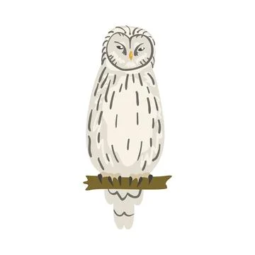 Perching Owl Bird with Broad Head and Sharp Talons Having Upright Stance Vector Stock-Illustration