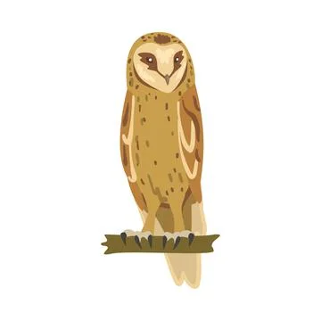 Perching Owl Bird with Broad Head and Sharp Talons Having Upright Stance Vector Stock-Illustration