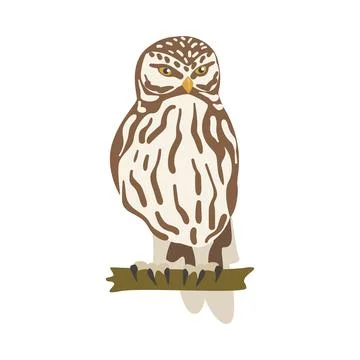 Perching Owl Bird with Broad Head and Sharp Talons Having Upright Stance Vector Stock-Illustration