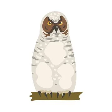 Perching Owl Bird with Broad Head and Sharp Talons Having Upright Stance Vector Stock-Illustration