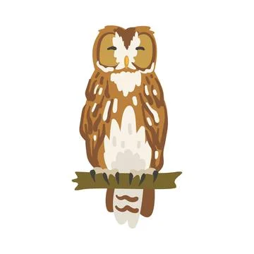 Perching Owl Bird with Broad Head and Sharp Talons Having Upright Stance Vector Stock-Illustration