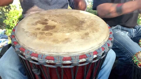 Percussion Drum Musicians Performing in the Park Stock Footage 251641726