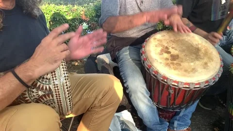 Percussion Drum Musicians Performing in the Park Stock Footage 251641751