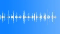 PERCUSSION, MARACAS Sound Effect