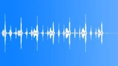 PERCUSSION, SHAKERSound Effect