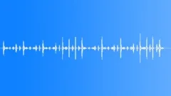 PERCUSSION, SHAKERSound Effect