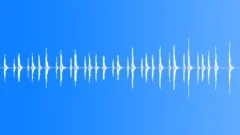 PERCUSSION, SHAKERSound Effect