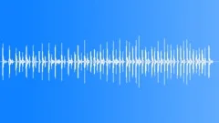PERCUSSION, SHAKERSound Effect