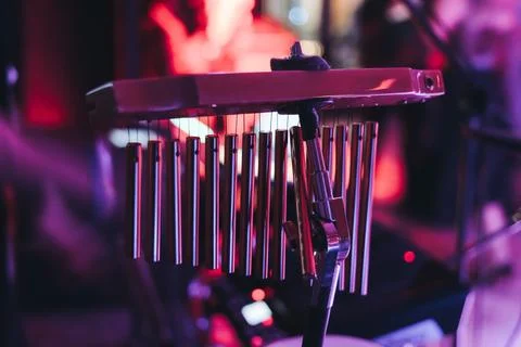 Percussionist drummer performing on mark tree, professional bar chimes, dru.. 库存照片