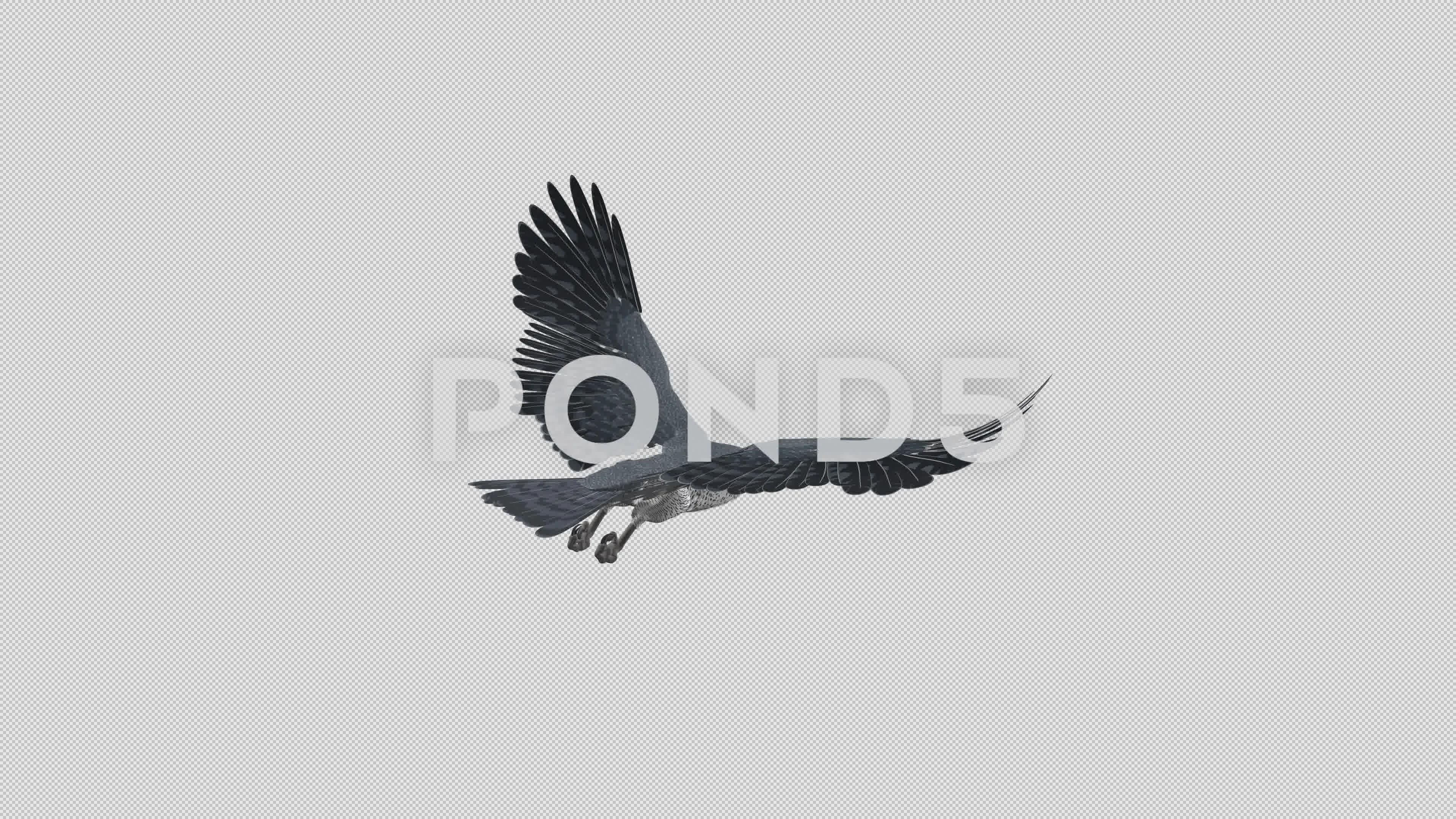 Set Black Hand Drawn Strokes Birds Seagulls Flock Drawing Sketch Stock  Vector by ©goldenshrimp 450550014