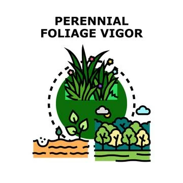 Perennial foliage vigor concept vector illustration Stock Illustration