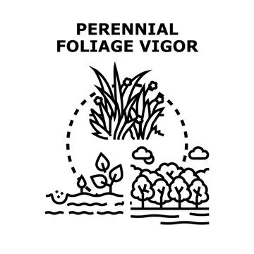 Perennial foliage vigor concept vector illustration Stock Illustration