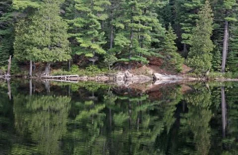 Perfect algonquin reflection Stock Photos