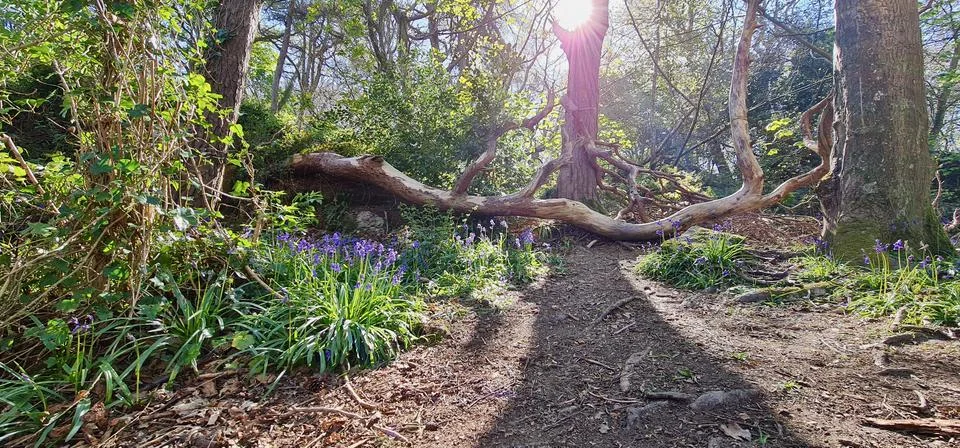 Perfect angle Stock Photos