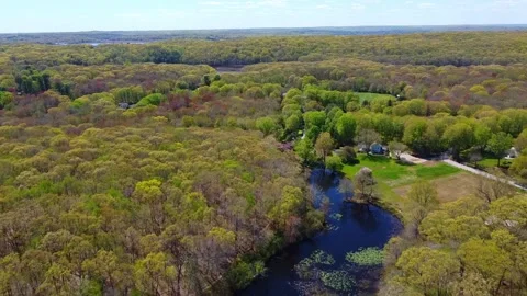 A perfect autumn Video stock 246402990