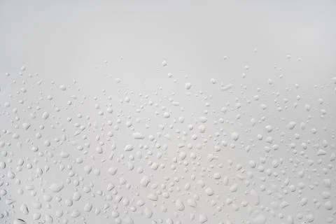 Perfect backlit drops on light grey background Foto stock