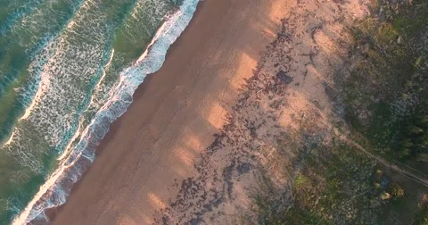 Perfect beach birds eye view In Queensland Australia Holiday Destination   Vídeo Stock 65409260