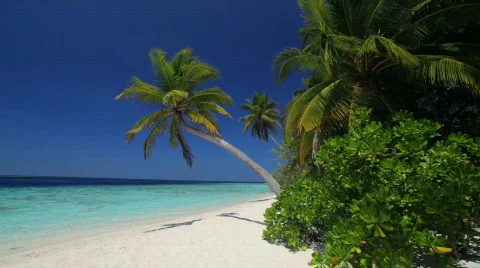 The perfect beach Видео 662701